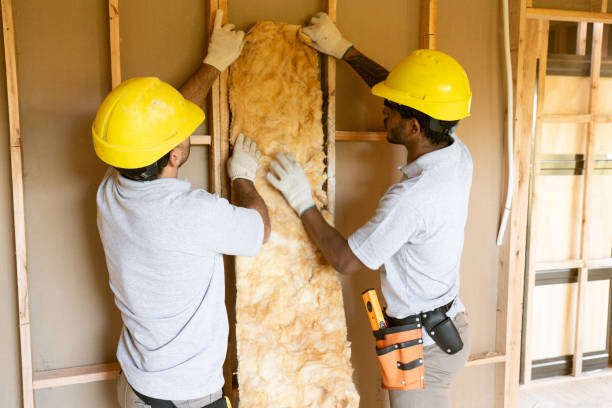 Insulation Inspection Services in Mayo, MD