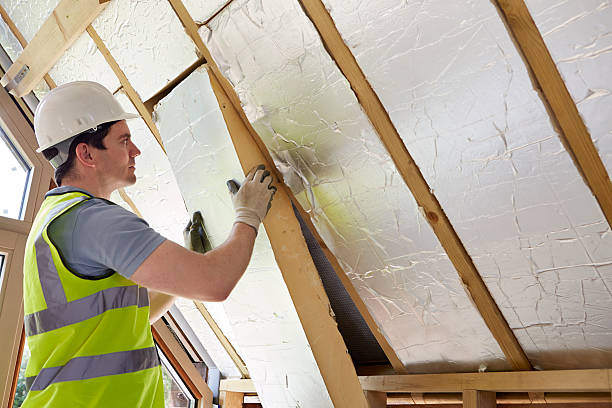 Insulation Contractors for Homes in Mayo, MD