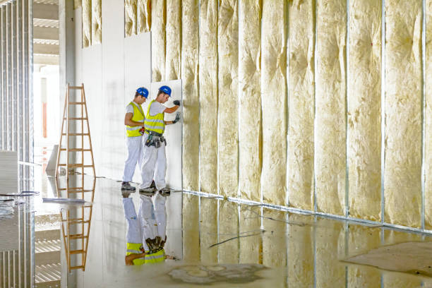 Soundproof Insulation Installation in Mayo, MD